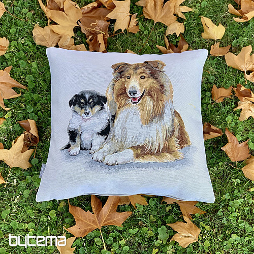 Gobelínový povlak KOLIE A ŠTEŇA