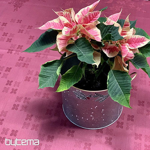 Obrus DAMAŠEK kvety bordó 120x140