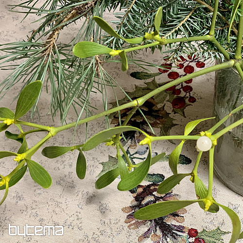 Vianočný gobelínový obrus okrúhly ŠIŠKA a IMELI