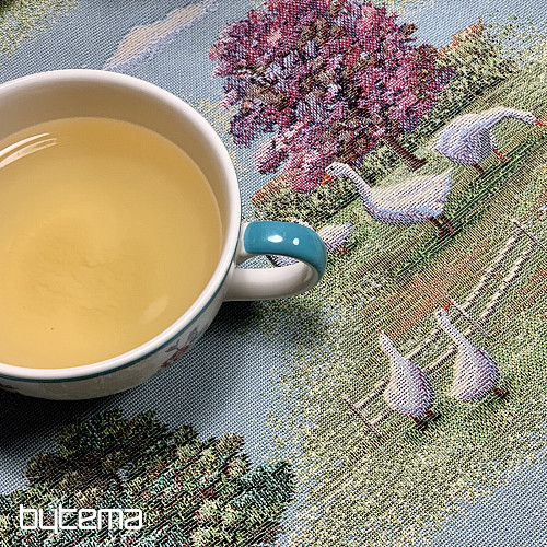 Gobelínový obrus a šál VONKAJŠÍ