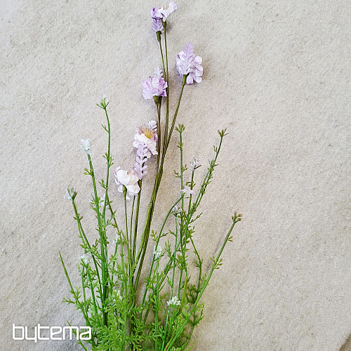 LUČNÉ KVIETI FIALOVÉ