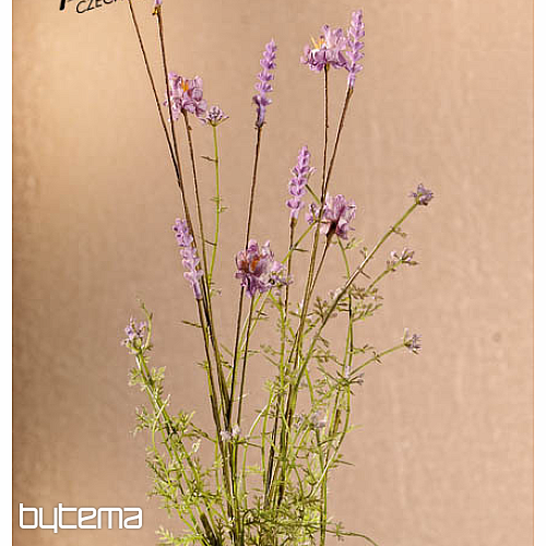 LUČNÉ KVIETI FIALOVÉ