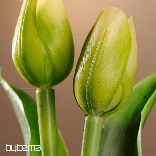 Tulipány mix farieb