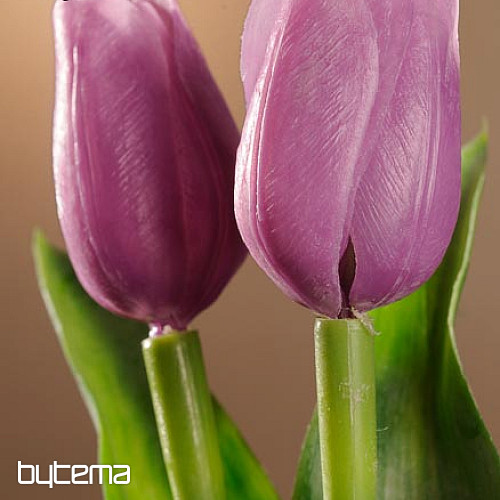 Tulipány mix farieb