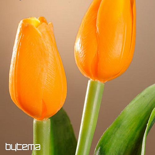 Tulipány mix farieb