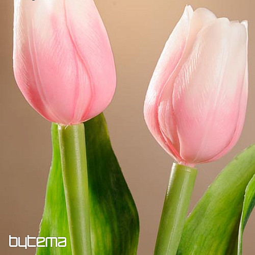 Tulipány mix farieb