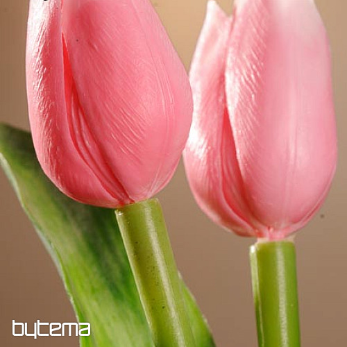 Tulipány mix farieb