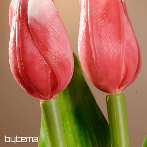 Tulipány mix farieb