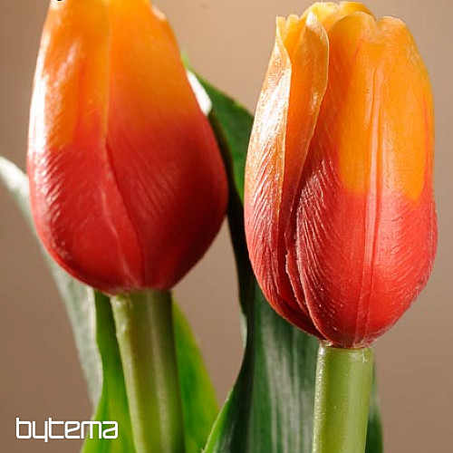Tulipány mix farieb