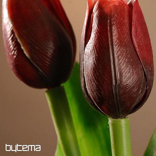 Tulipány mix farieb