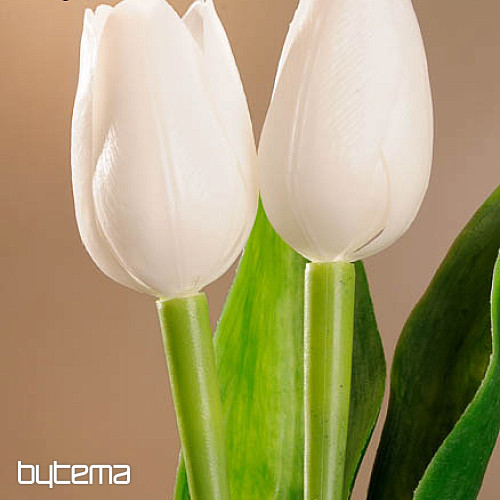 Tulipány mix farieb