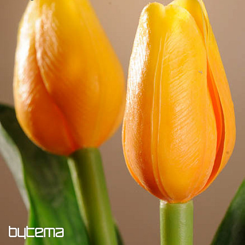 Tulipány mix farieb