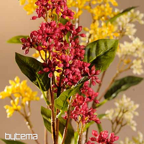 Japonské bobule vínové 63 cm